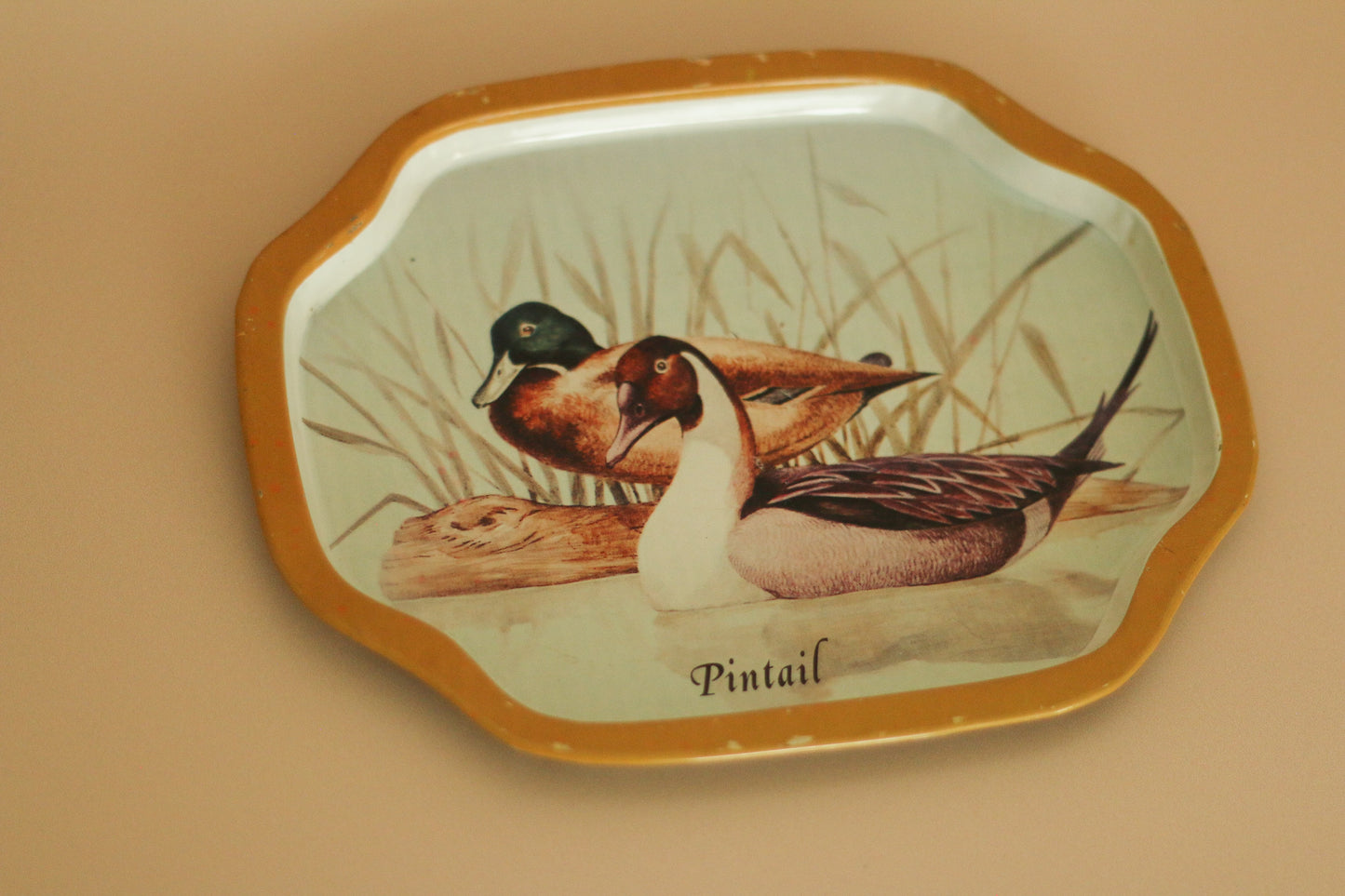 Vintage Tin Snack Trays