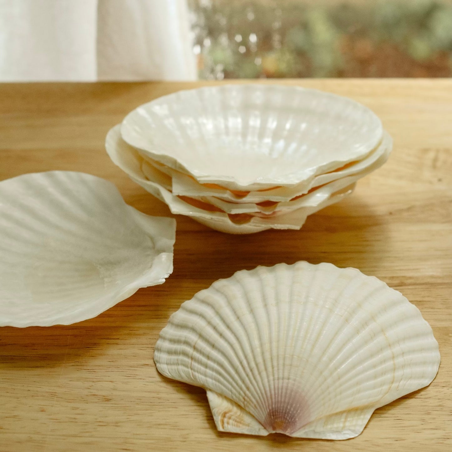 Vintage Baking Shell Plates